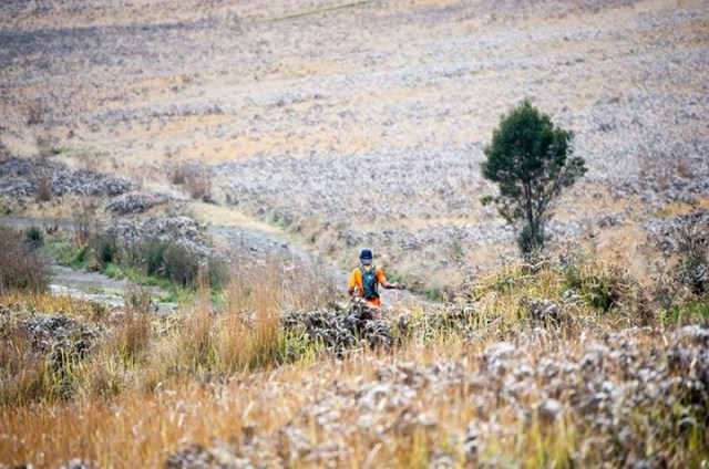 View of the savannah in the light